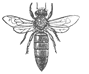 Bee