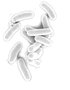 Microorganism